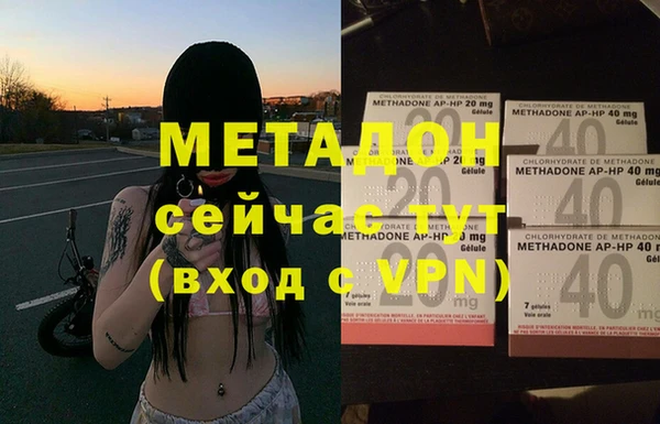 сатива Алзамай