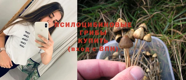 сатива Алзамай