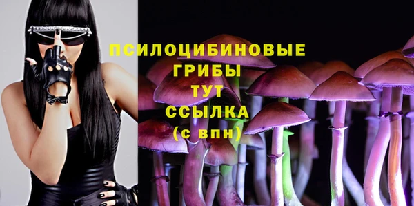 шишки Алексеевка