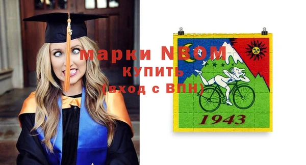 сатива Алзамай