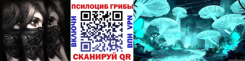 Псилоцибиновые грибы Cubensis  Кострома 