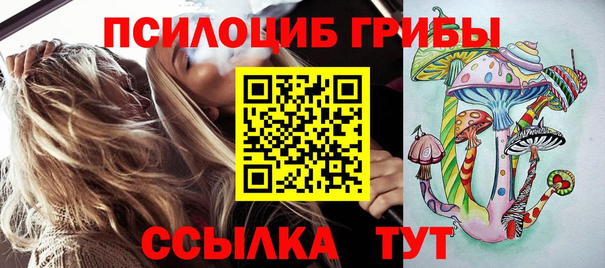 Псилоцибиновые грибы прущие грибы Кострома